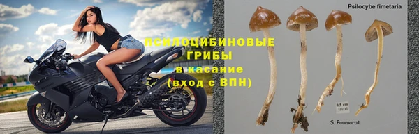 спайс Алексин