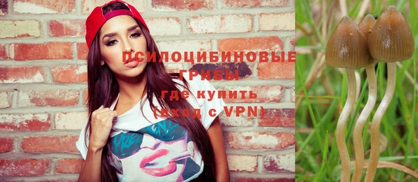 спайс Алексин
